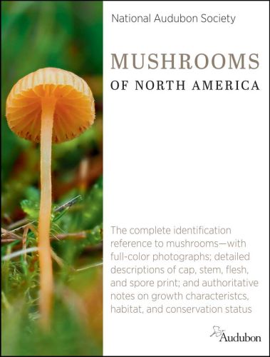 National audubon society mushrooms of north america