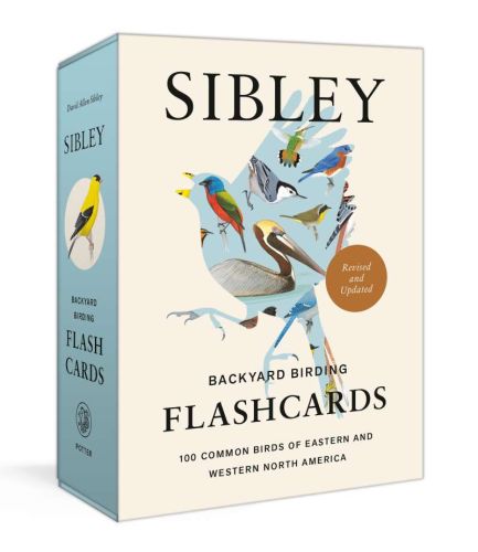 Sibley backyard birding flashcards