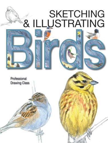 Birds: professional drawing class: sketching & illustrating
