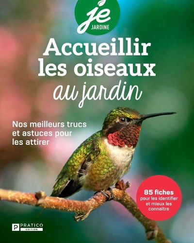 281543-frontcover.jpg