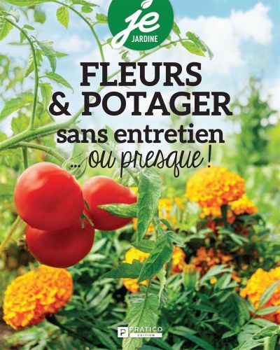 281544-frontcover.jpg