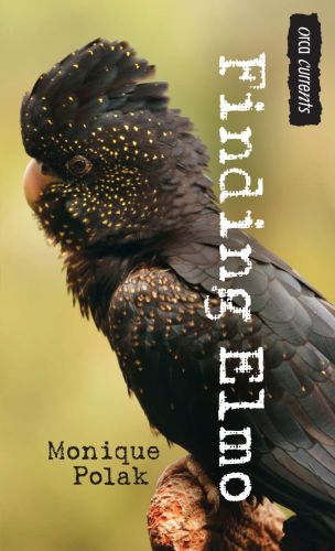 288594-frontcover.jpg
