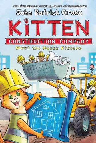 Meet the house kittens: kitten construction company