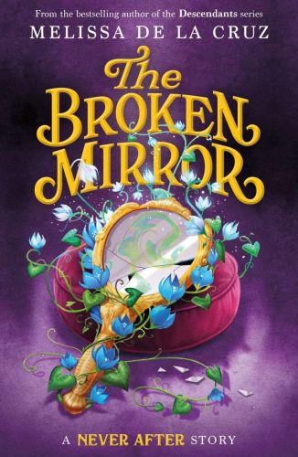 The broken mirror, book 3, the chronicles of never after
