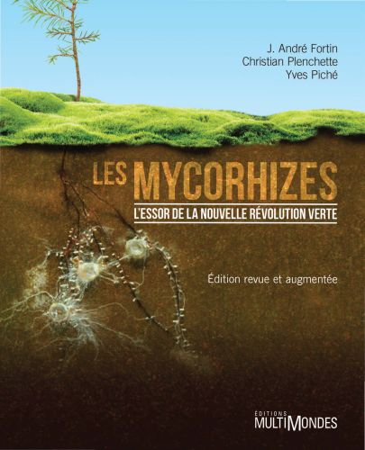 290791-lesmycorhizes.jpg