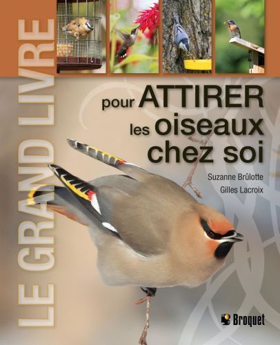 291536-frontcoverlarge.jpg