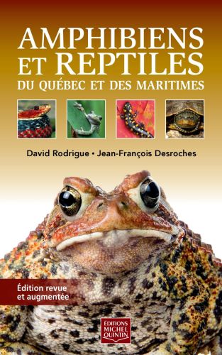 293269-frontcoverlarge.jpg