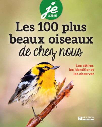 297261-frontcover.jpg