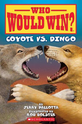 Coyote vs. dingo : who would win?