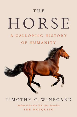 The horse