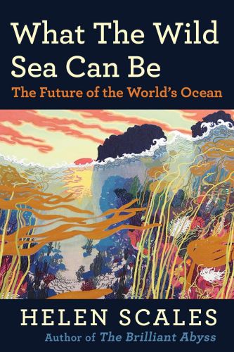 What the wild sea can be