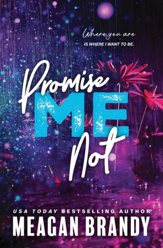 Promise me not, book 2, boys of avix