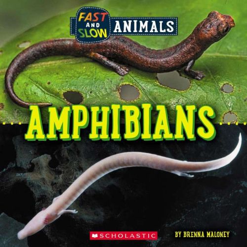 Amphibians: fast and slow animals