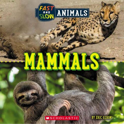 Mammals: fast and slow animals