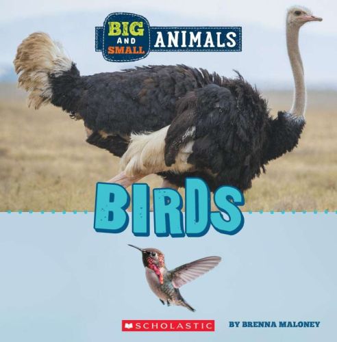 Birds (wild world: big and small animals)
