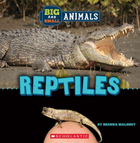 Reptiles (wild world: big and small animals)