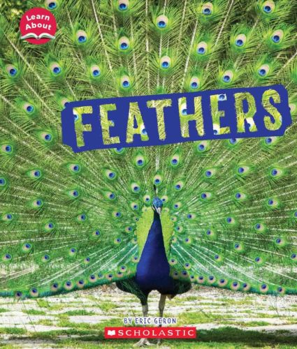 Feathers