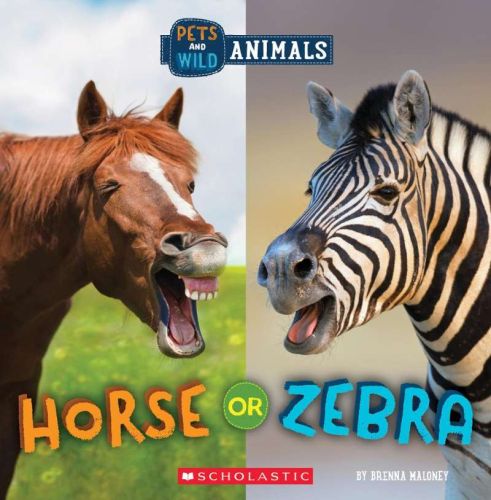 Horse or zebra