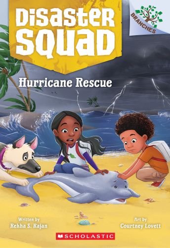 310636-frontcover.jpg