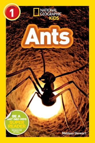 National geographic readers: ants