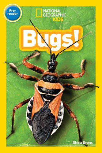 Bugs: national geographic kids readers