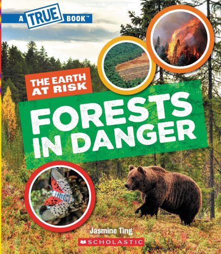 315764-frontcover.jpg