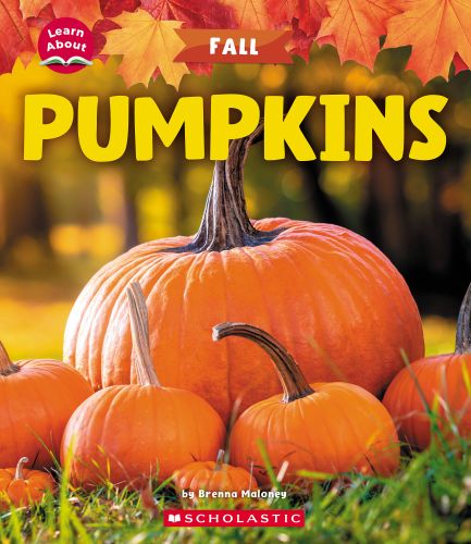 316485-frontcover.jpg