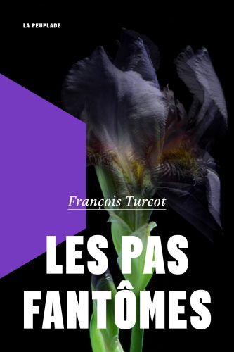 317111-couverturelespasfantmes.jpg
