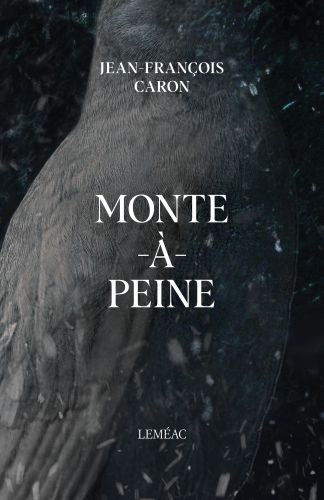 317172-couvertureprincipale.jpg