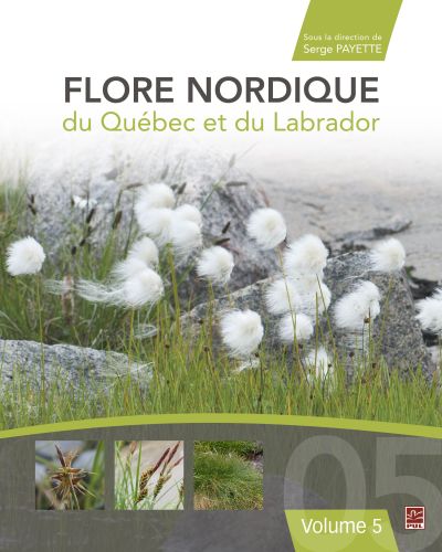 Flore nordique du québec et du labrador vol. 5