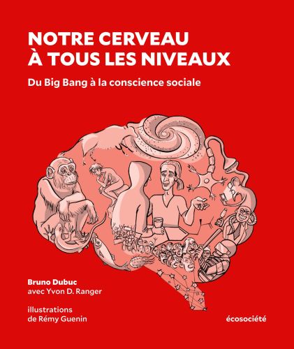 Notre cerveau à tous les niveaux