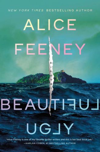 Beautiful ugly: a novel