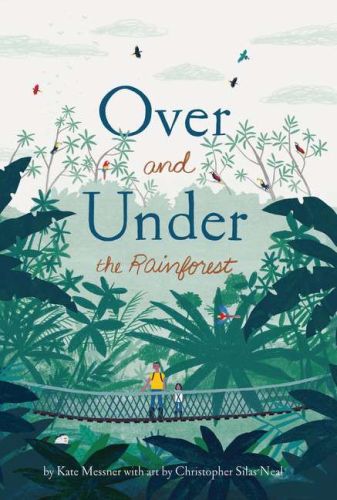 Over and under the rainforest