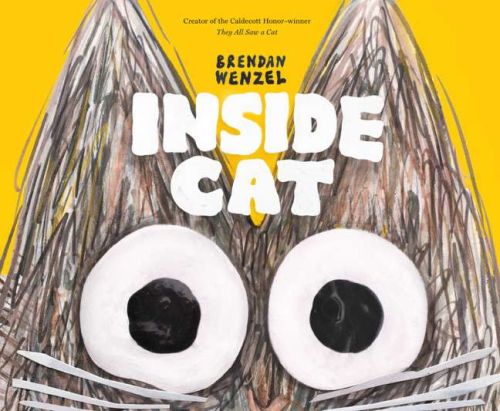 Inside cat