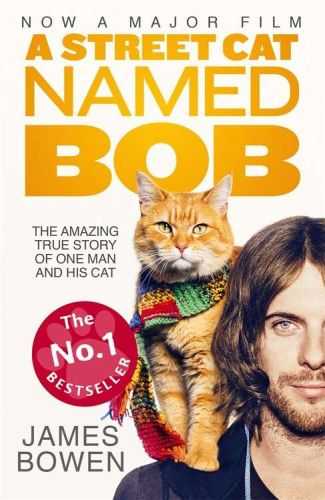 A street cat named bob