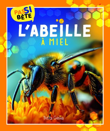 Pas si bête l'abeille à miel