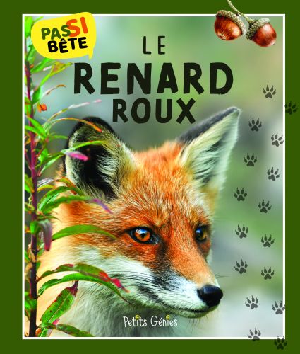 Pas si bête le renard roux