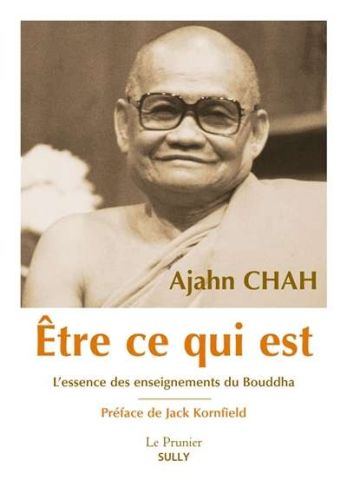353299-9782354323080-cover.jpeg