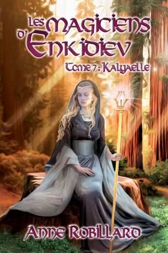 Les magiciens d'enkidiev - t7