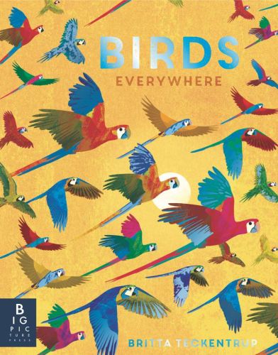 Birds everywhere