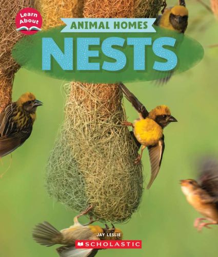 363741-frontcover.jpg