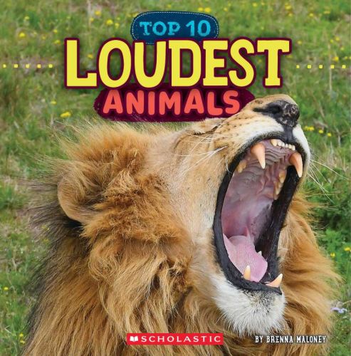 363746-frontcover.jpg