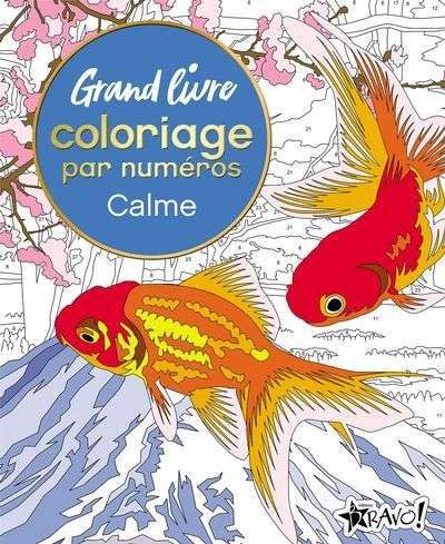 Grand livre de coloriage par numéros - calme