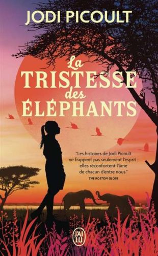 Tristesse des éléphants, (la)