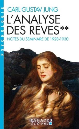 Analyse des rêves : notes du séminaire de 1928-1930, vol. 2, (l')