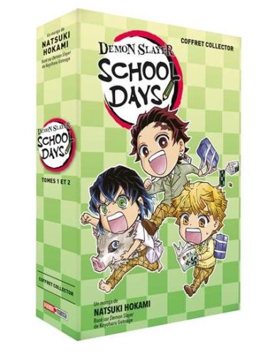 Demon slayer school days