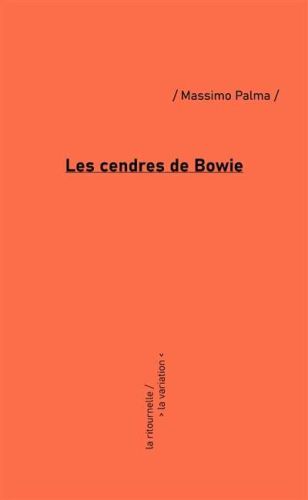 Cendres de bowie, (les)