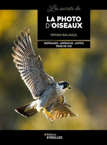 Secrets de la photo d'oiseaux, (les)