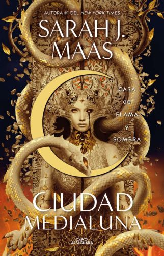 Casa de flama y sombra / house of flame and shadow