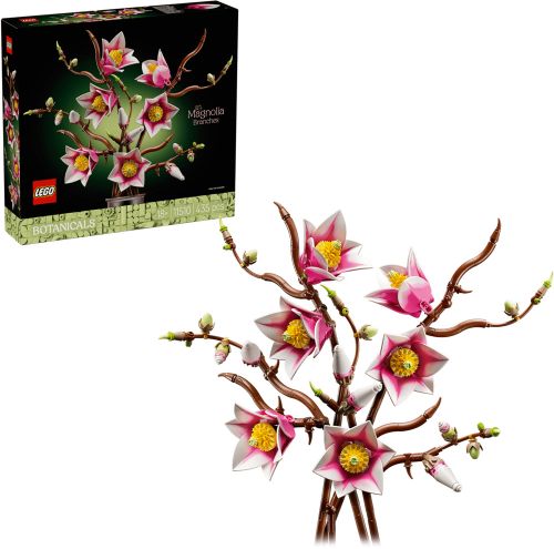 Les branche de magnolia 11510